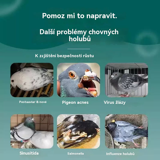 🕊️🕊️【✨Kupte 1 a dostanete 1 zdarma】200 tablet, speciální lék pro poštovní holuby, 6v1 léčba pro holuby - rychlé hojení, výrazné výsledky