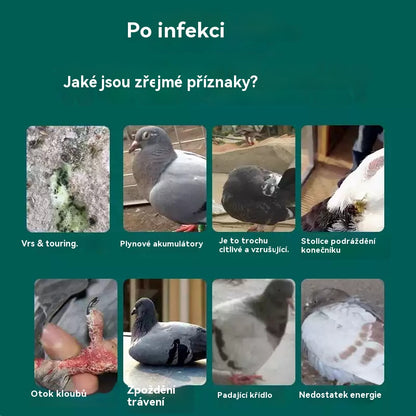 🕊️🕊️【✨Kupte 1 a dostanete 1 zdarma】200 tablet, speciální lék pro poštovní holuby, 6v1 léčba pro holuby - rychlé hojení, výrazné výsledky