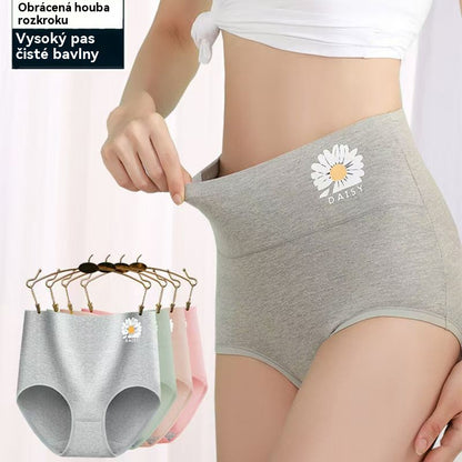 💖Poslední den sleva 50 % - 【Kupte 3, získejte 3 zdarma】Nadzvednutí hýždí s vysokým pasem z vysoce kvalitní bavlny✨️ （40-100 kg）-4130697