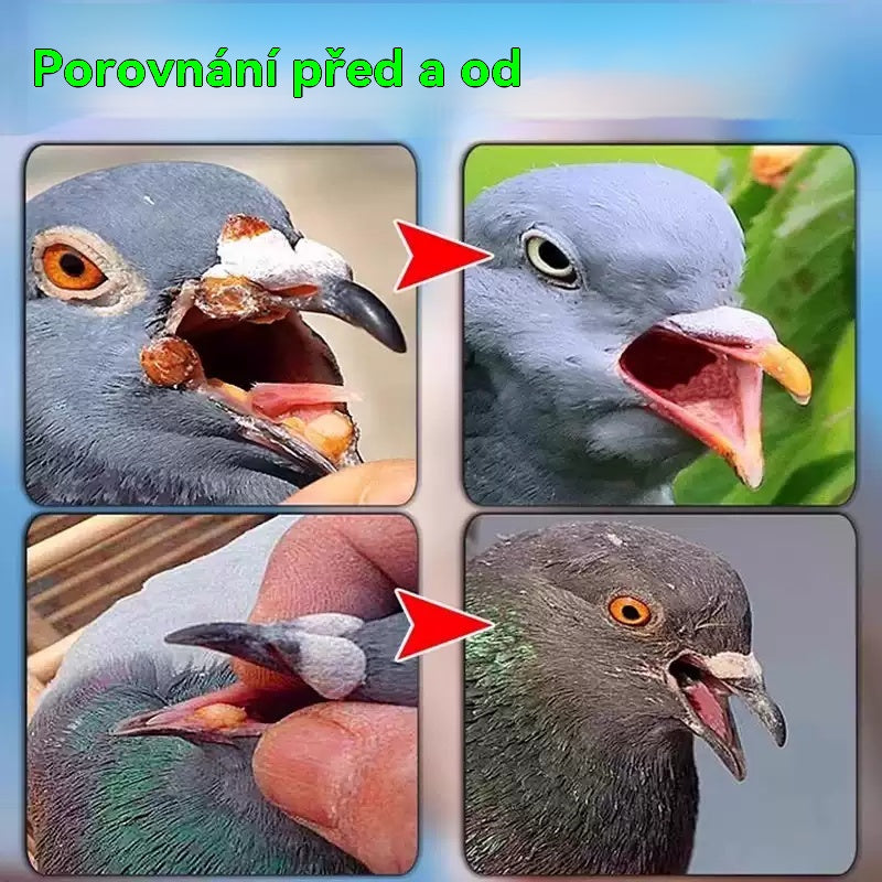 🕊️🕊️【✨Kupte 1 a dostanete 1 zdarma】200 tablet, speciální lék pro poštovní holuby, 6v1 léčba pro holuby - rychlé hojení, výrazné výsledky