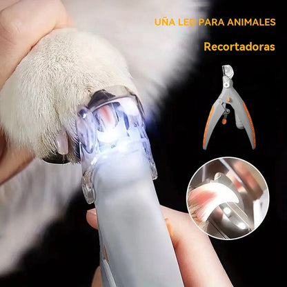 🐶Compra 1 y llévate 1 gratis 🐱✨ Herramienta para uñas de perros y gatos con luces LED. Ilumina las uñas de forma brillante y rápida para evitar lesiones.