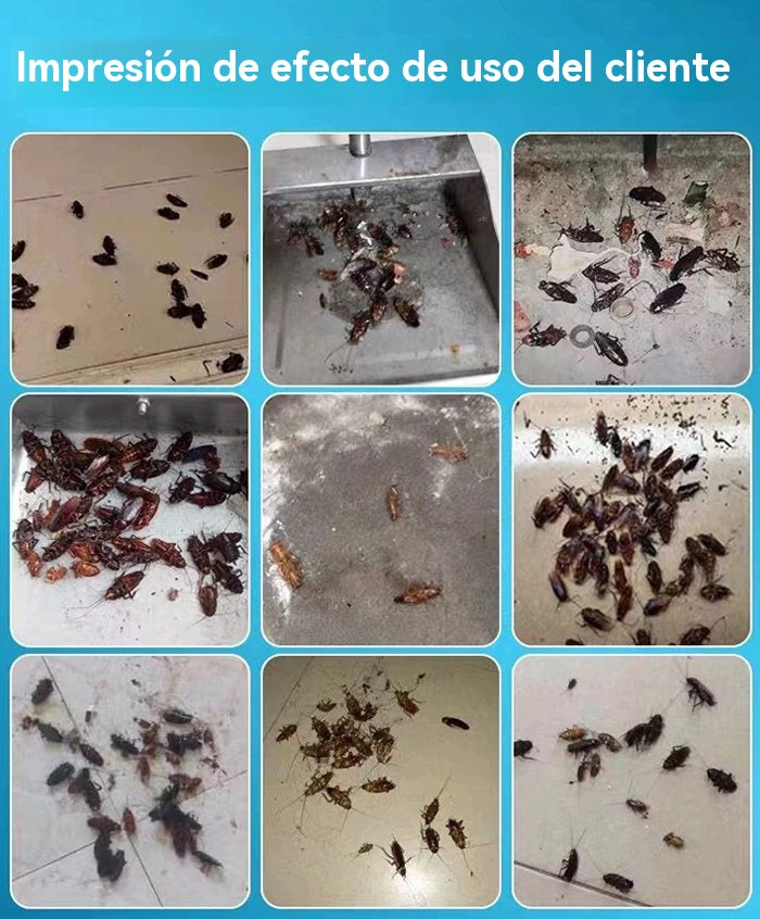 🔥【5 krabiček se 40 kapslemi】Silná gelová návnada na hubení švábů