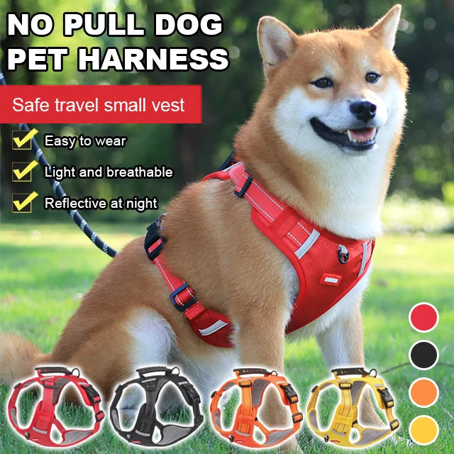 🐶【5–30 kg】Kutya hám háziállatoknak, húzásgátló.