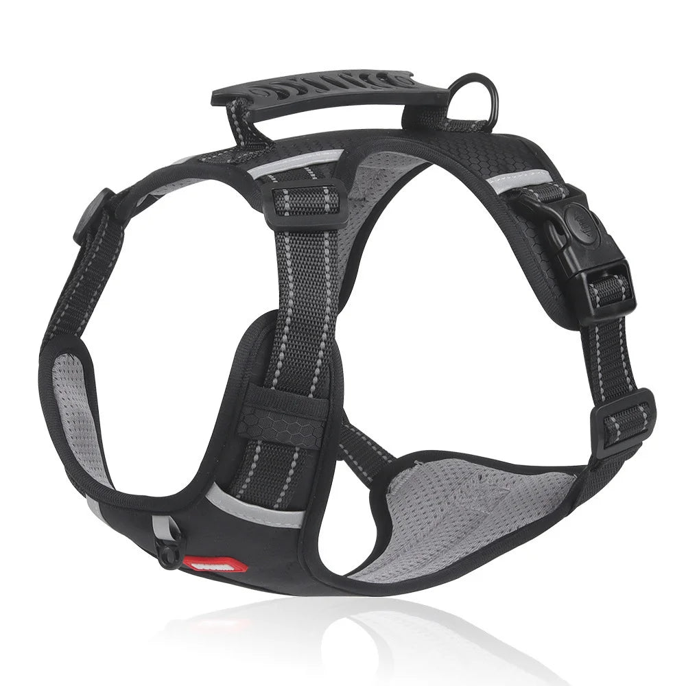 🐶【5–30 kg】Kutya hám háziállatoknak, húzásgátló.