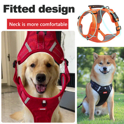 🐶【5–30 kg】Kutya hám háziállatoknak, húzásgátló.